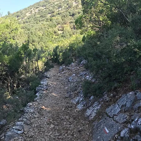 فيلة Ilk Ayvilla فتحية