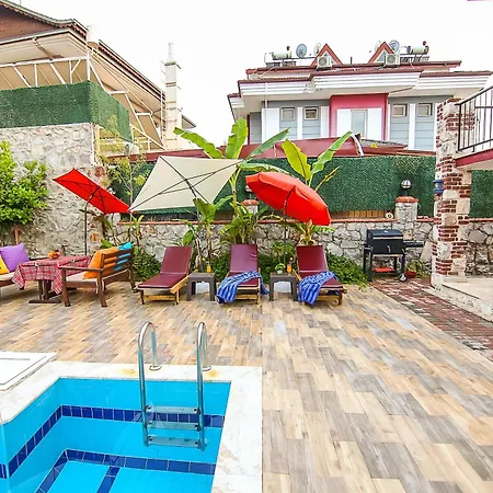 Ilk Ayvilla فيلة *